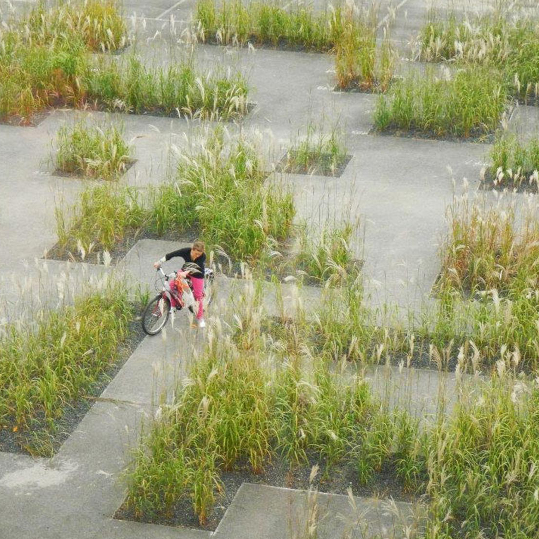 Enfants jouant dans un parc